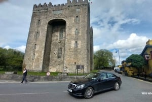 Galway: Cliffs of Moher Cruise, Bunratty Castle & Folk Park