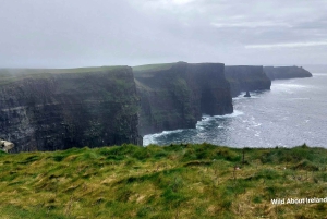 Galway: Cliffs of Moher Cruise, Bunratty Castle & Folk Park