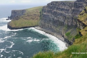 Galway: Cliffs of Moher Cruise, Bunratty Castle & Folk Park