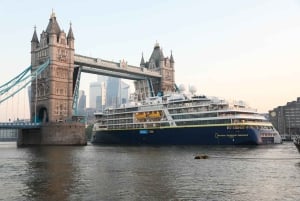 Gatwick lufthavn til Southampton krydstogtshavn - privat transport