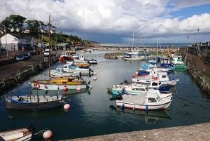 Tour por la Calzada del Gigante y la costa de Antrim