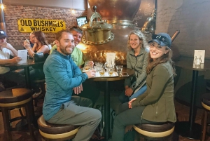 Tour por la Calzada del Gigante y la costa de Antrim