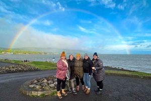 Tour por la Calzada del Gigante y la costa de Antrim