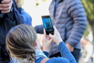 Grand London Half-Day Bicycle Tour