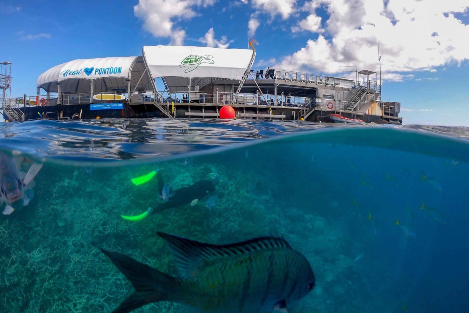 Daydream Island: Great Barrier Reef Adventure Cruise