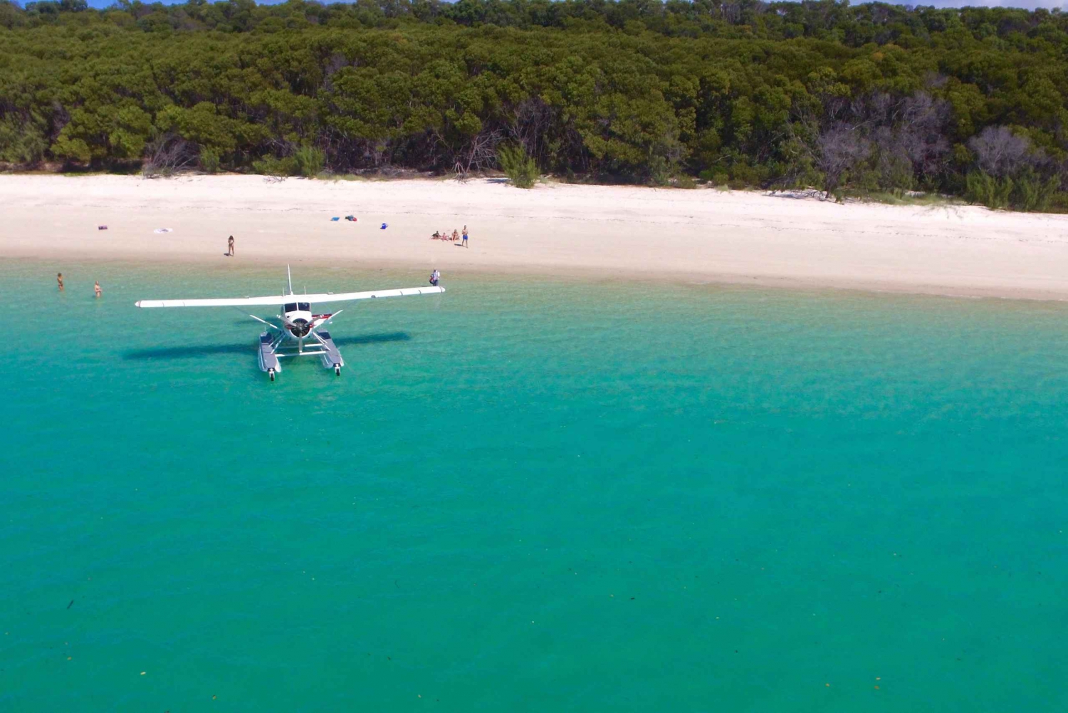 Great Barrier Reef and Whitehaven Beach Seaplane Tour