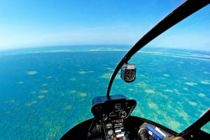 Great Barrier Reef Helicopter Tour with Whitehaven Landing
