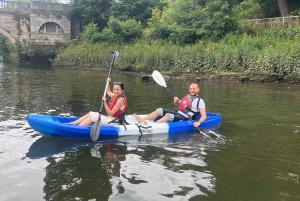 Experiencia en kayak en grupo por el hermoso Támesis en Richmond