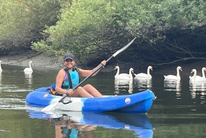 Experiencia en kayak en grupo por el hermoso Támesis en Richmond