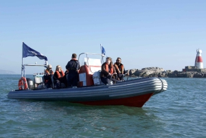 Guided Boat Tour around Dublin Bay
