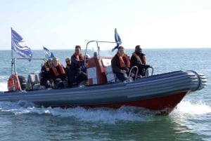Guided Boat Tour around Dublin Bay