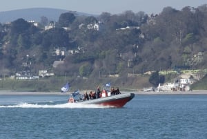 Guided Boat Tour around Dublin Bay