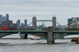 Halvdagsudflugt til London: Themsen-krydstogt, Big Ben og Tower of London