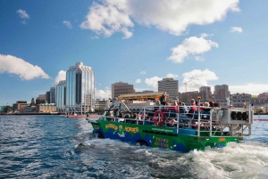 Halifax: Harbour Hopper City & Water Cruise in a Duck Boat
