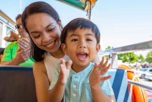 Halifax: Harbour Hopper City & Water Cruise in a Duck Boat