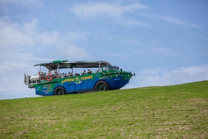 Halifax: Harbour Hopper City & Water Cruise in a Duck Boat
