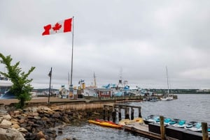 Halifax : Visite à pied en petit groupe avec la Citadelle et le Musée