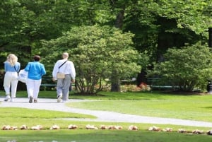 Halifax : Visite à pied en petit groupe avec la Citadelle et le Musée