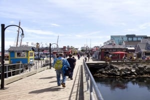 Halifax : Visite à pied en petit groupe avec la Citadelle et le Musée