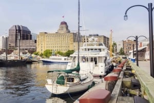 Halifax : Visite à pied en petit groupe avec la Citadelle et le Musée