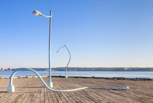 Halifax : Visite à pied en petit groupe avec la Citadelle et le Musée
