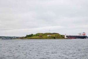 Halifax : Visite à pied en petit groupe avec la Citadelle et le Musée