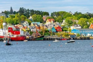 Halifax: Tour particular de um dia pela costa sul da Nova Escócia