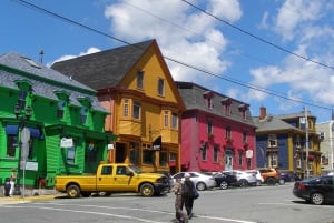 Halifax: Tour particular de um dia pela costa sul da Nova Escócia
