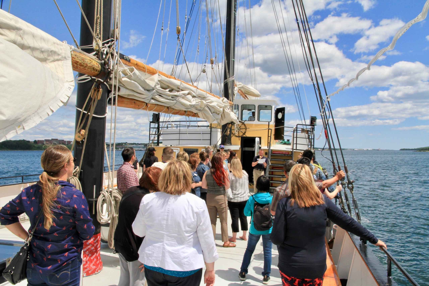 Halifax: zeilcruise in de haven met grote zeilschepen en livemuziek
