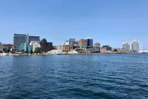 Halifax: Tall Ship Harbor Sailing Cruise with Live Music