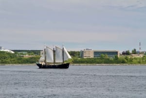 Halifax: Tall Ship Harbor Sailing Cruise with Live Music