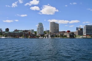 Halifax: Tall Ship Harbor Sailing Cruise with Live Music