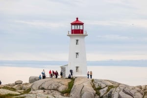 Halifax: Peggy's Cove, Citadel ja Titanic Cemetery -kierros