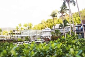 Hamilton Island Freestyle-Tagestour mit Mittagessen