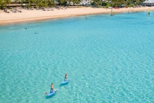 Hamilton Island Freestyle-Tagestour mit Mittagessen