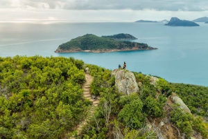 Hamilton Island Freestyle-Tagestour mit Mittagessen