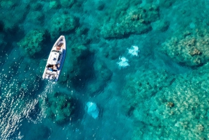 Hamilton Island: Premium Private Boat Charter & Snorkeling