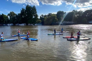 Spedizione di paddleboarding da Hampton Court a Richmond