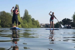 Spedizione di paddleboarding da Hampton Court a Richmond