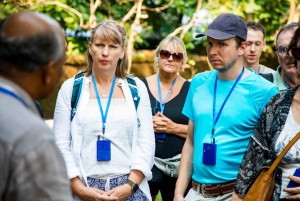 Heritage of the Titanic: excursão a pé particular em Southampton