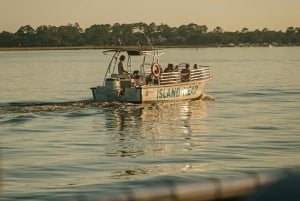 Hilton Head Island: Delfinskryssning och naturtur