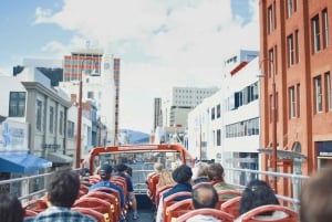 Hobart: 24-Hour Hop-on Hop-off Sightseeing Bus Ticket