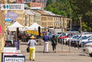 ホバート：3時間の市内観光ツアー