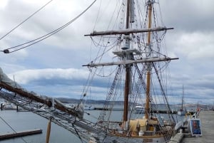 Bus des attractions de Hobart : HOBART SHORE EXCURSION