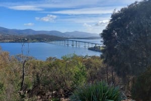 Bus des attractions de Hobart : HOBART SHORE EXCURSION
