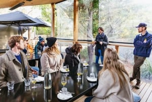 Hobart: Tour panoramico dell'isola di Bruny