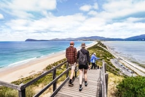 Hobart: Excursión a la isla Bruny con almuerzo en el hotel y visita al faro