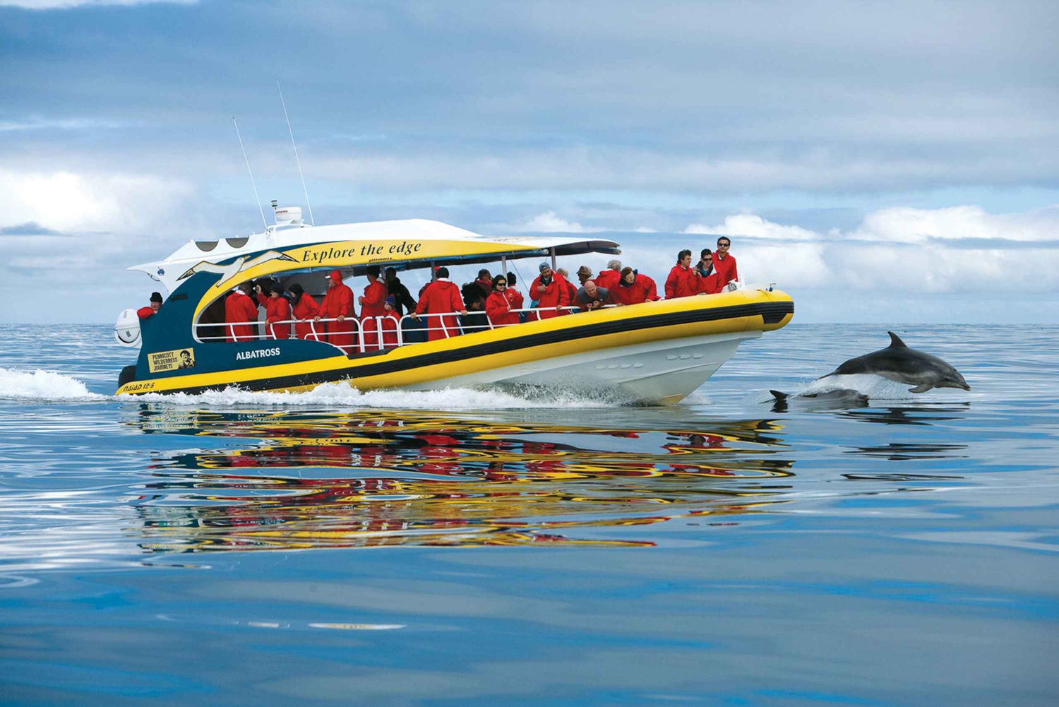 Hobart : Croisière écologique sur la côte sauvage de l'île Bruny avec déjeuner