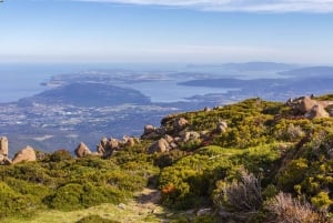 Hobart: Day Trip to Mt Wellington and MONA with Ferry Ride