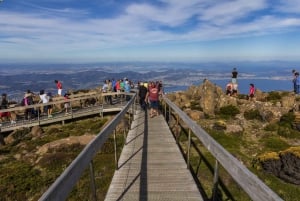 Hobart: Day Trip to Mt Wellington and MONA with Ferry Ride
